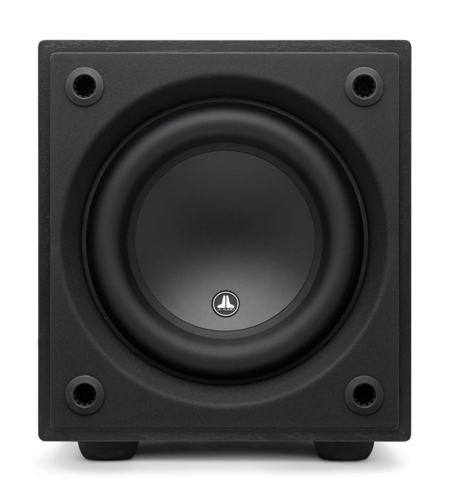 Dominion® 8" Ash 500w með Magnara