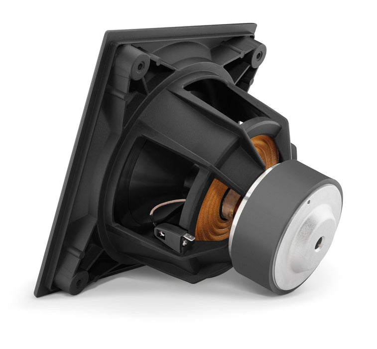 Dominion® 8" Ash 500w með Magnara
